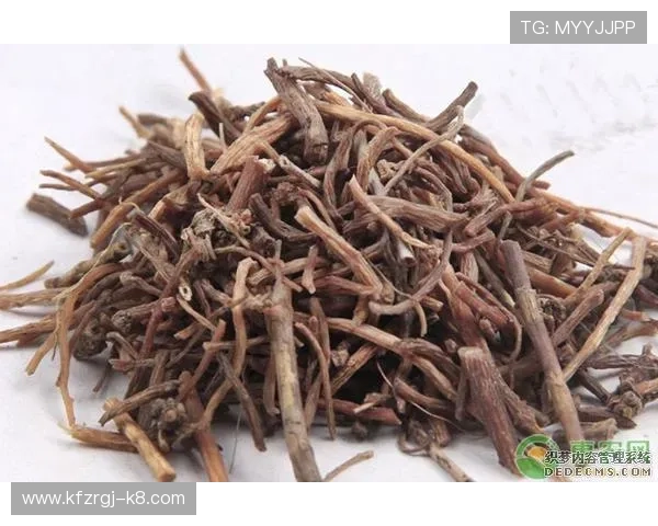 凯发旗舰厅注册平台官网下载：官方平台最新版本下载指南与更新内容介绍