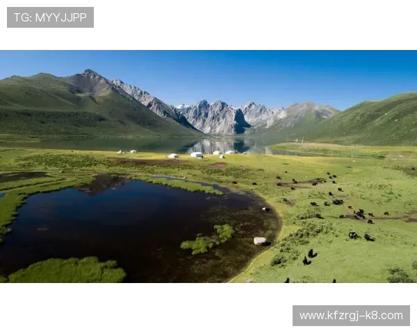 凯发网上登录入口官网官方入口导航，快速找到安全稳定的登录入口确保游戏顺畅无忧