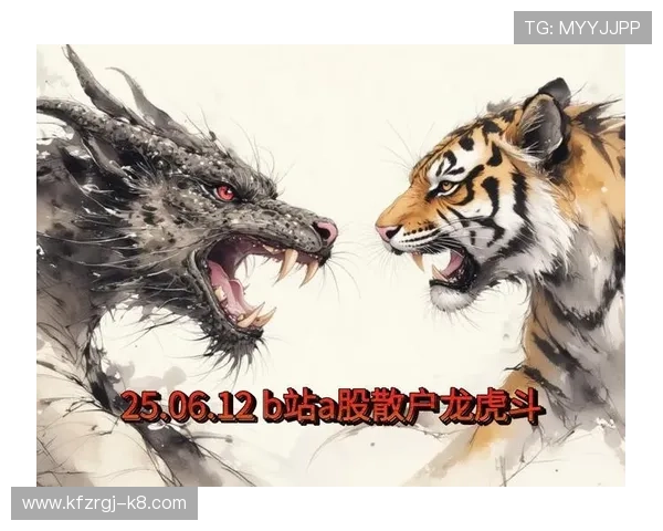 出龙跟虎跟龙的角色搭配指南，打造最强战队实现游戏中的全面胜利