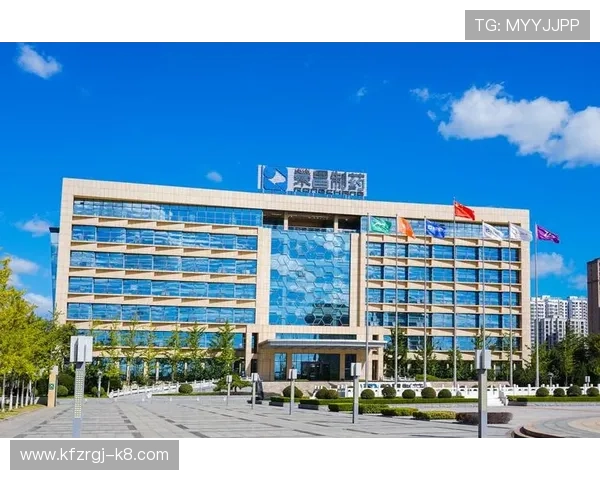 凯发集团娱乐平台有哪些专业的客户服务与在线帮助支持