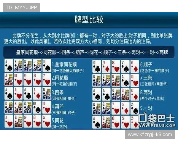 梭哈德州扑克入门指南：从新手到高手的完整学习路径